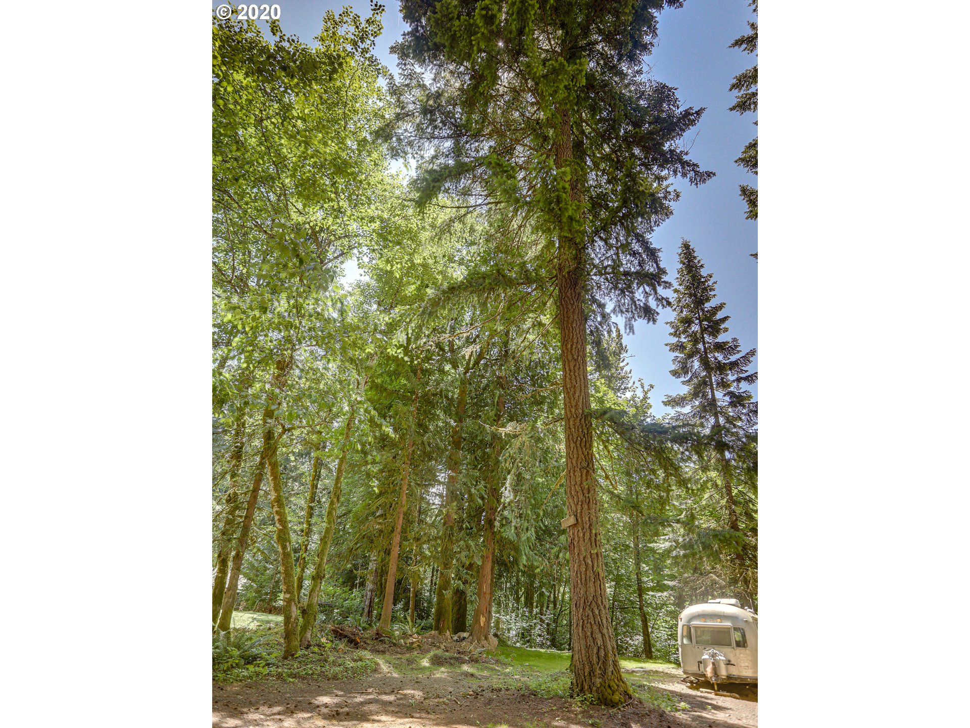 0 East Terrace Drive Rhododendron, OR 97049 - Photo 14 of 17 a view of a yard with tall trees