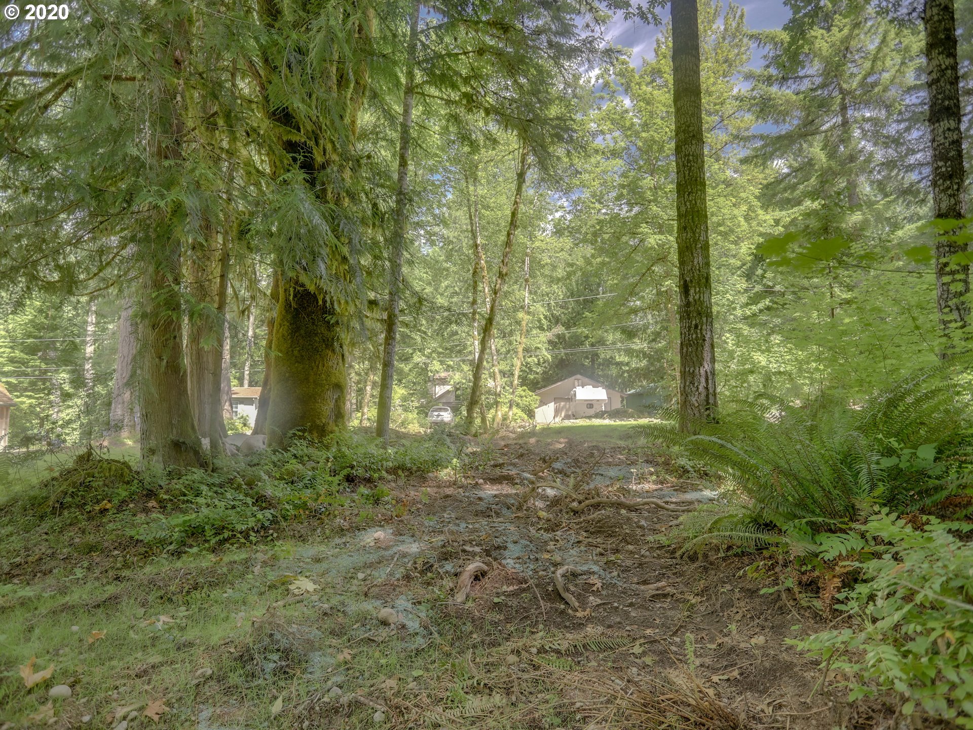 0 East Terrace Drive Rhododendron, OR 97049 - Photo 15 of 17 a view of a yard