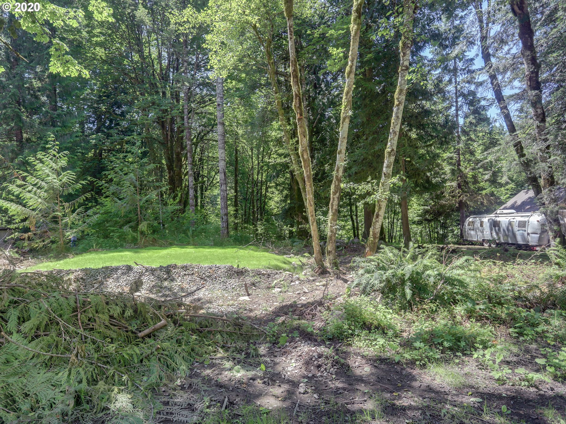 0 East Terrace Drive Rhododendron, OR 97049 - Photo 7 of 17 a view of a yard with a tree