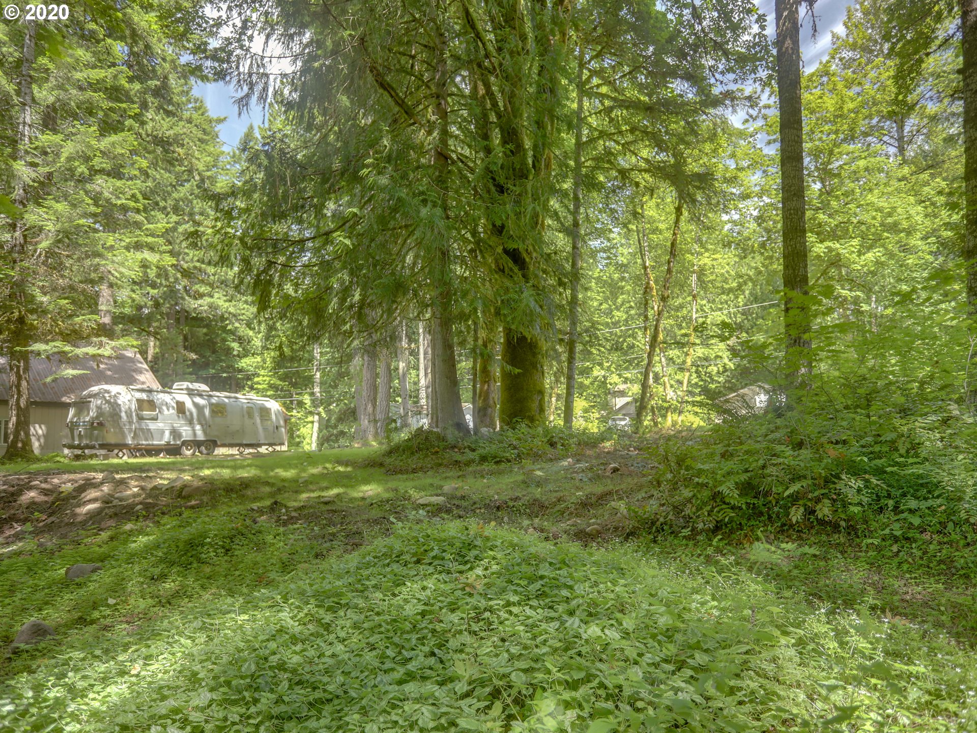 0 East Terrace Drive Rhododendron, OR 97049 - Photo 8 of 17 a big yard with trees