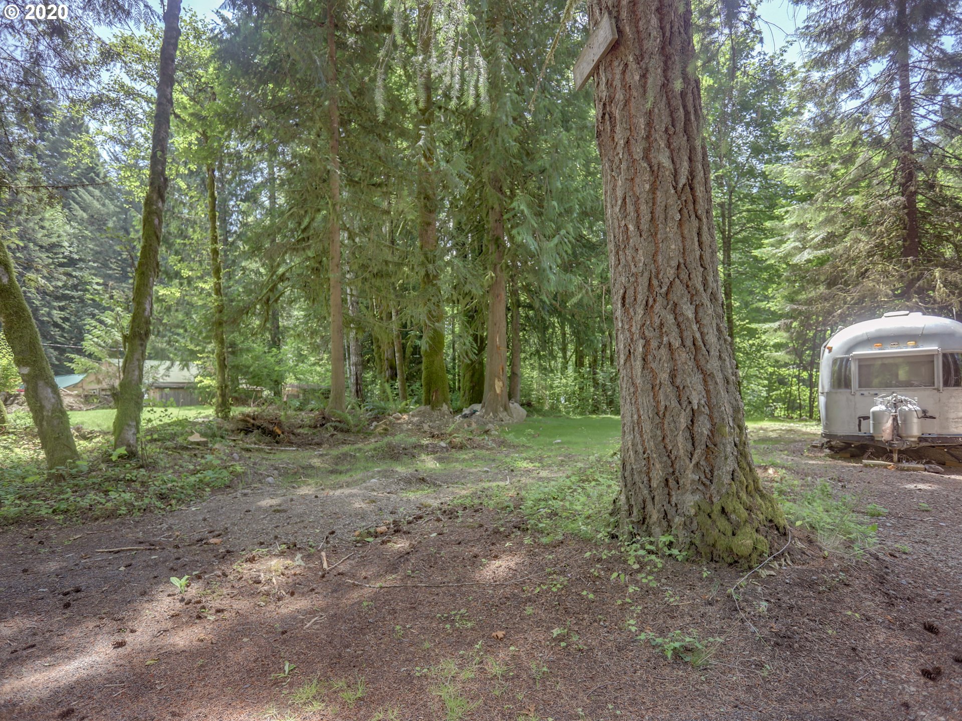 0 East Terrace Drive Rhododendron, OR 97049 - Photo 10 of 17 a view of a trees in the forest