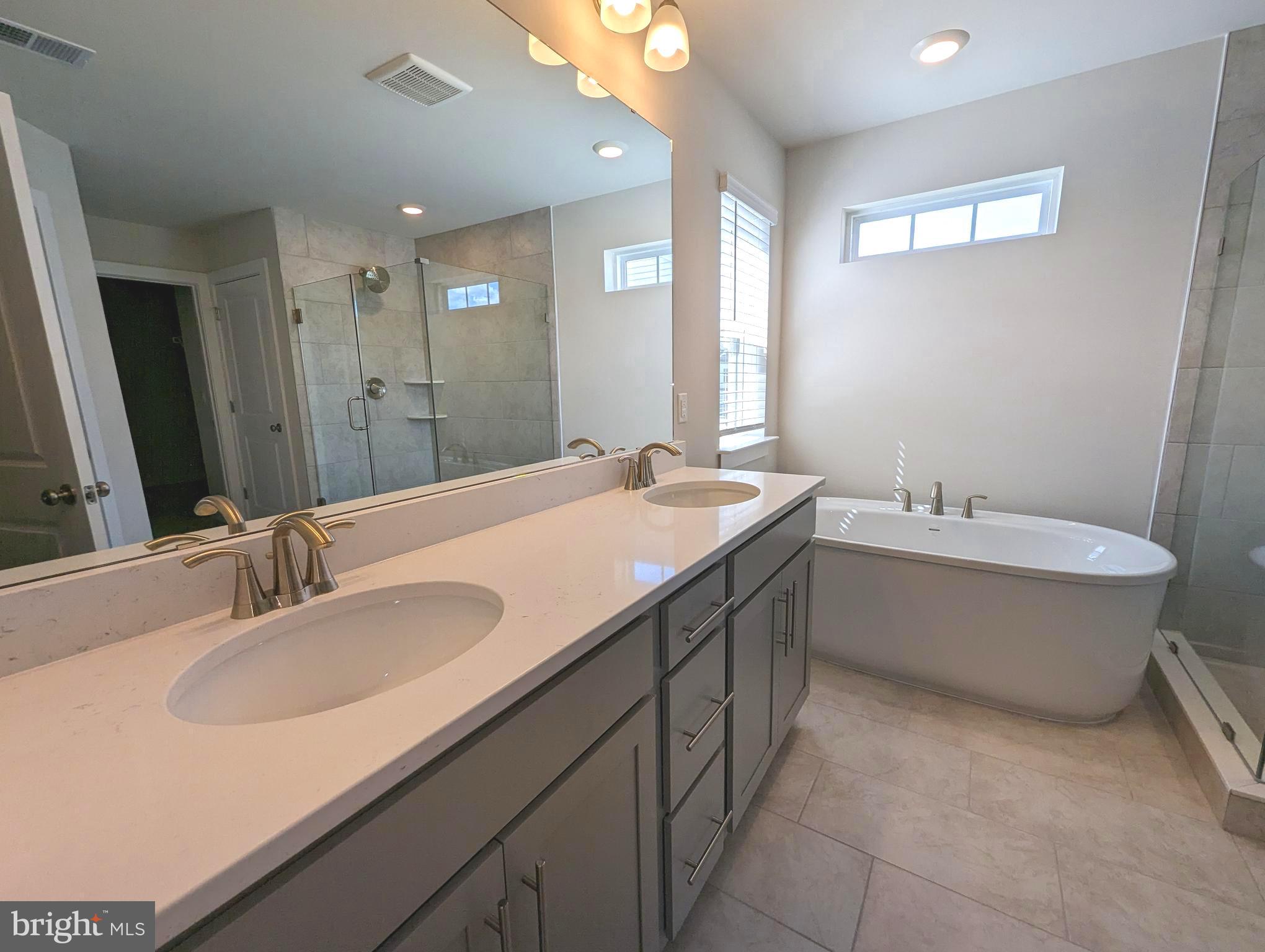 14972 Walter Robinson Lane Haymarket, VA 20169 - Photo 19 of 30 a bathroom with a double vanity sink tub and a mirror