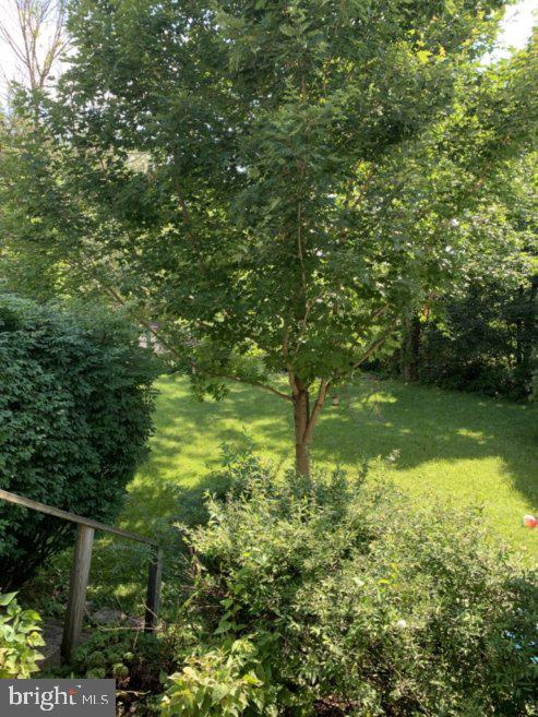 20 Country Road Perkasie, PA 18944 - Photo 3 of 19 Back yard