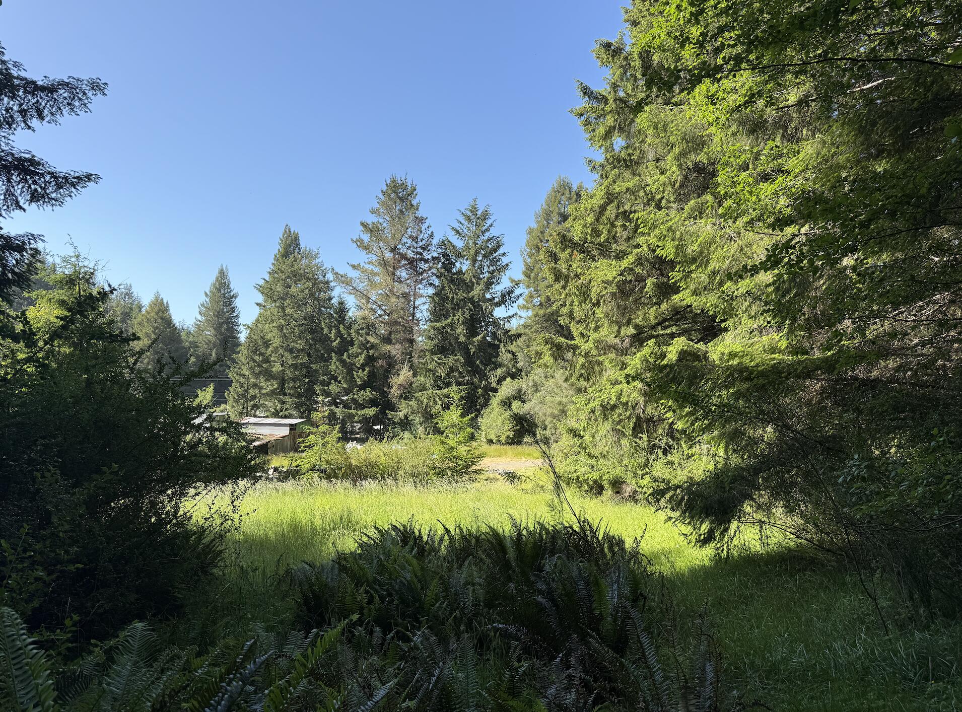 110 Pinnacle Lane Fieldbrook, CA 95519 - Photo 9 of 18