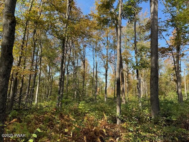 Fairmont Road Road Starrucca, PA 18462 - Photo 10 of 18