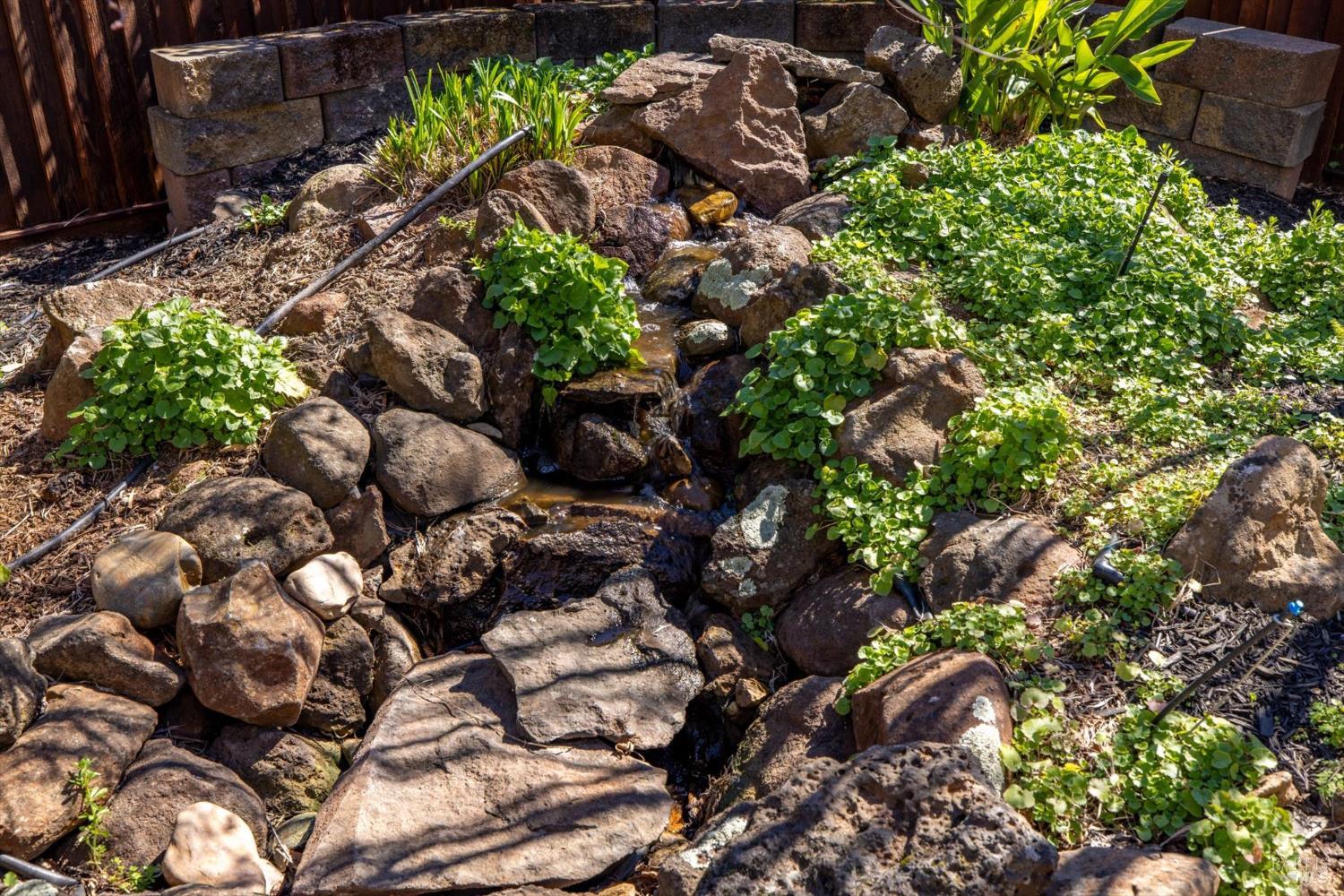 1203 Peppergrass Street Napa, CA 94559 - Photo 72 of 82