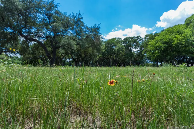 a view of a golf course with a garden