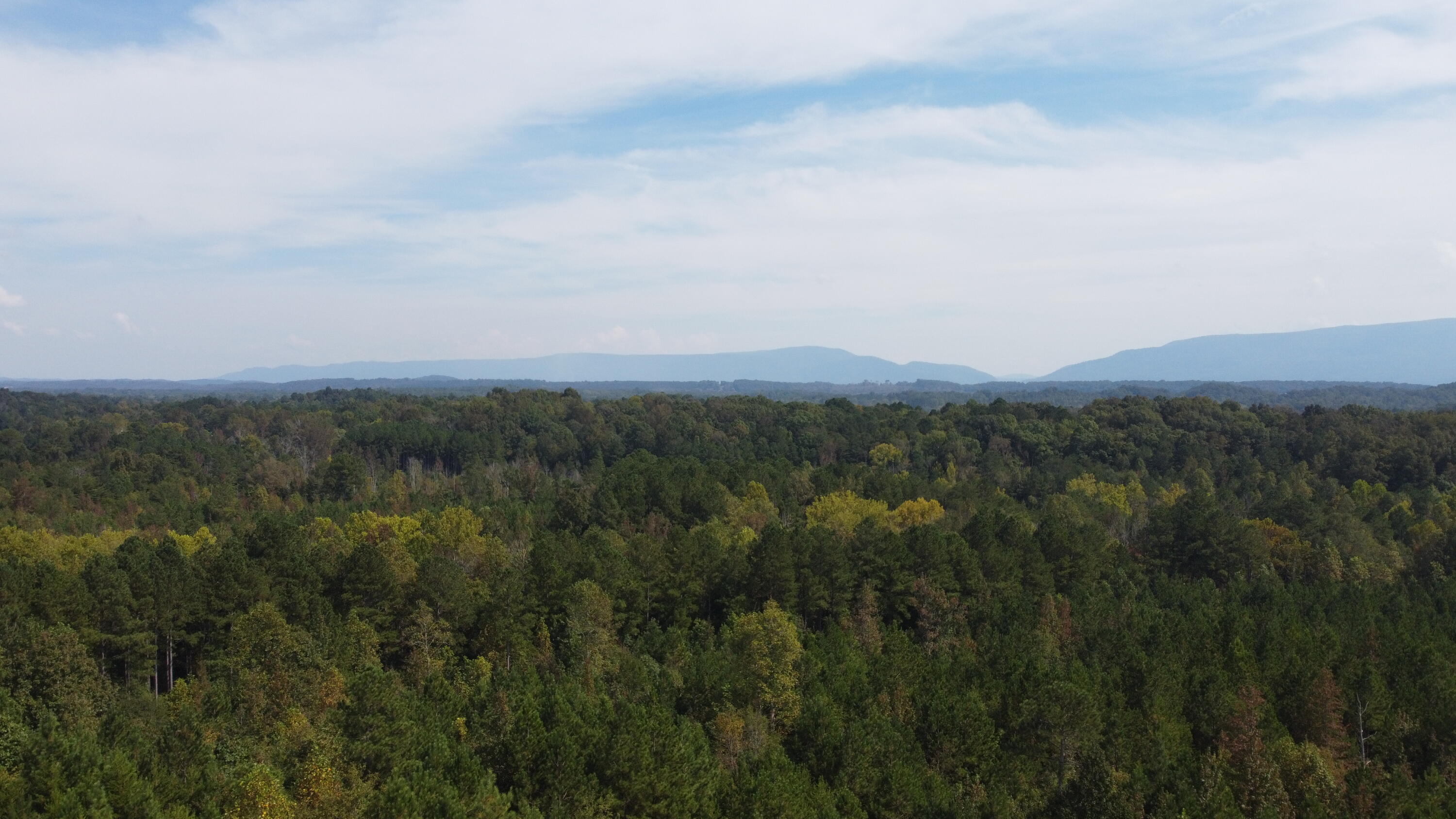 6 Athens Road, Unit 6 Delano, TN 37325 - Photo 13 of 16 MWSD7293