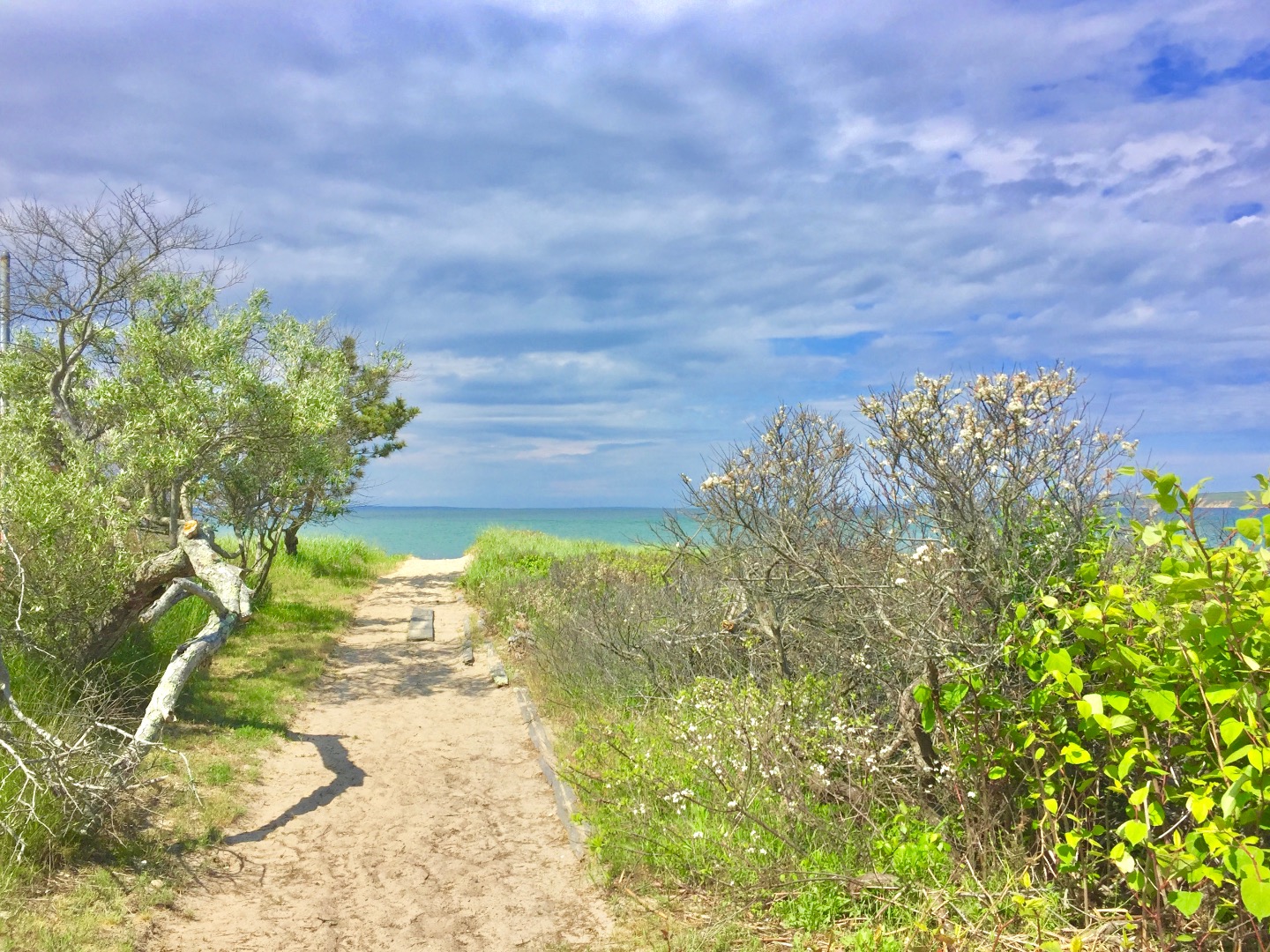 650 Lighthouse Road Aquinnah, MA 02535 - Photo 32 of 57 Path to the beach steps from the house