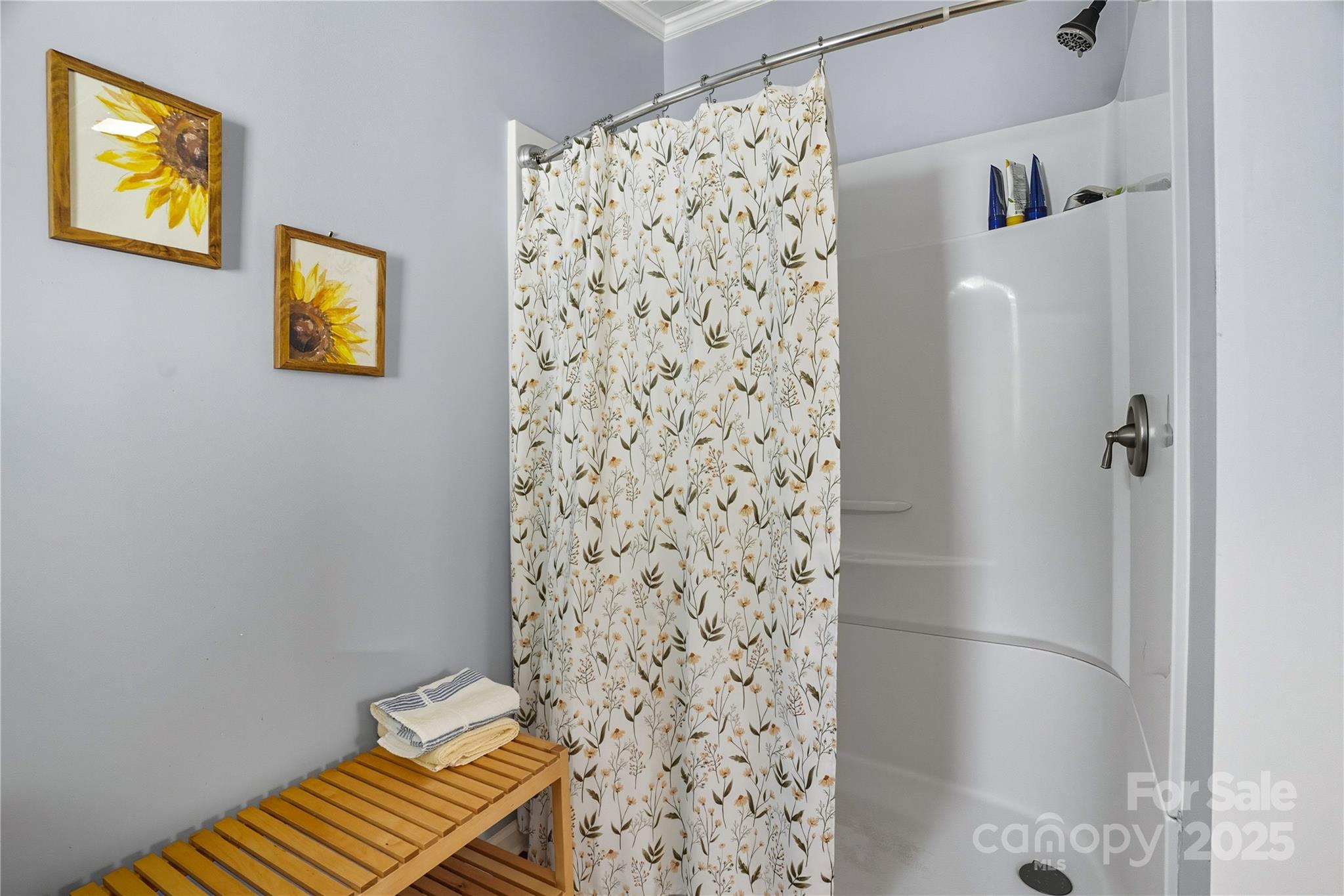 1660 Lentz Road China Grove, NC 28023 - Photo 20 of 44 a bathroom with a shower and a sink
