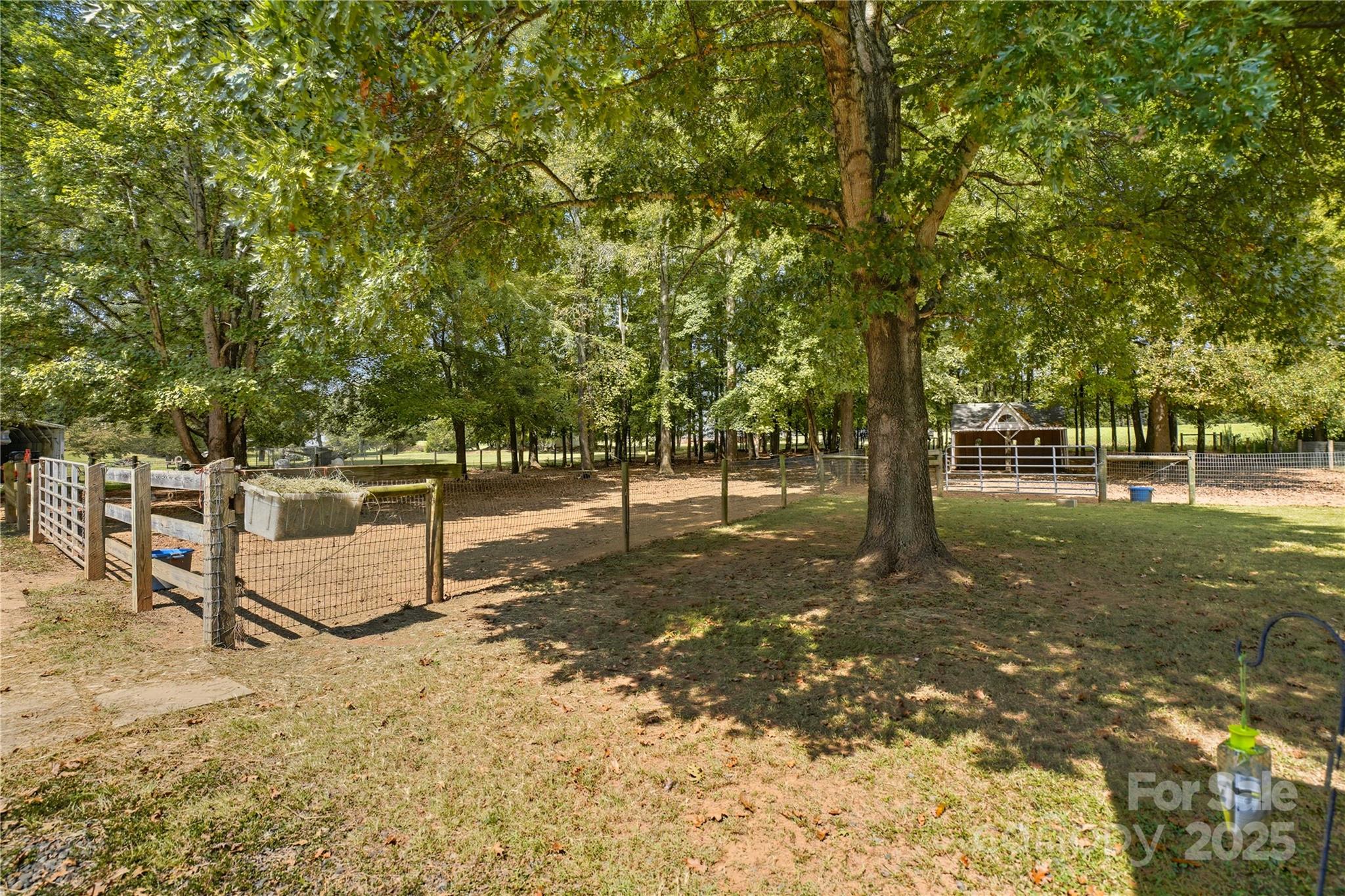 1660 Lentz Road China Grove, NC 28023 - Photo 36 of 44 a view of a tree in the middle of a yard