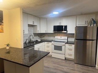 107 Spring Street, Unit 11 Watertown, MA 02472 - Photo 4 of 5