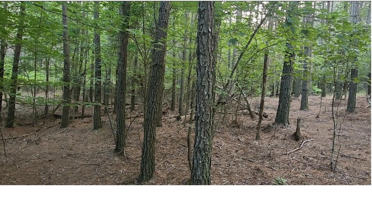 0 High Point Lane Jasper, TN 37347 - Photo 12 of 17 a open area with trees in the background