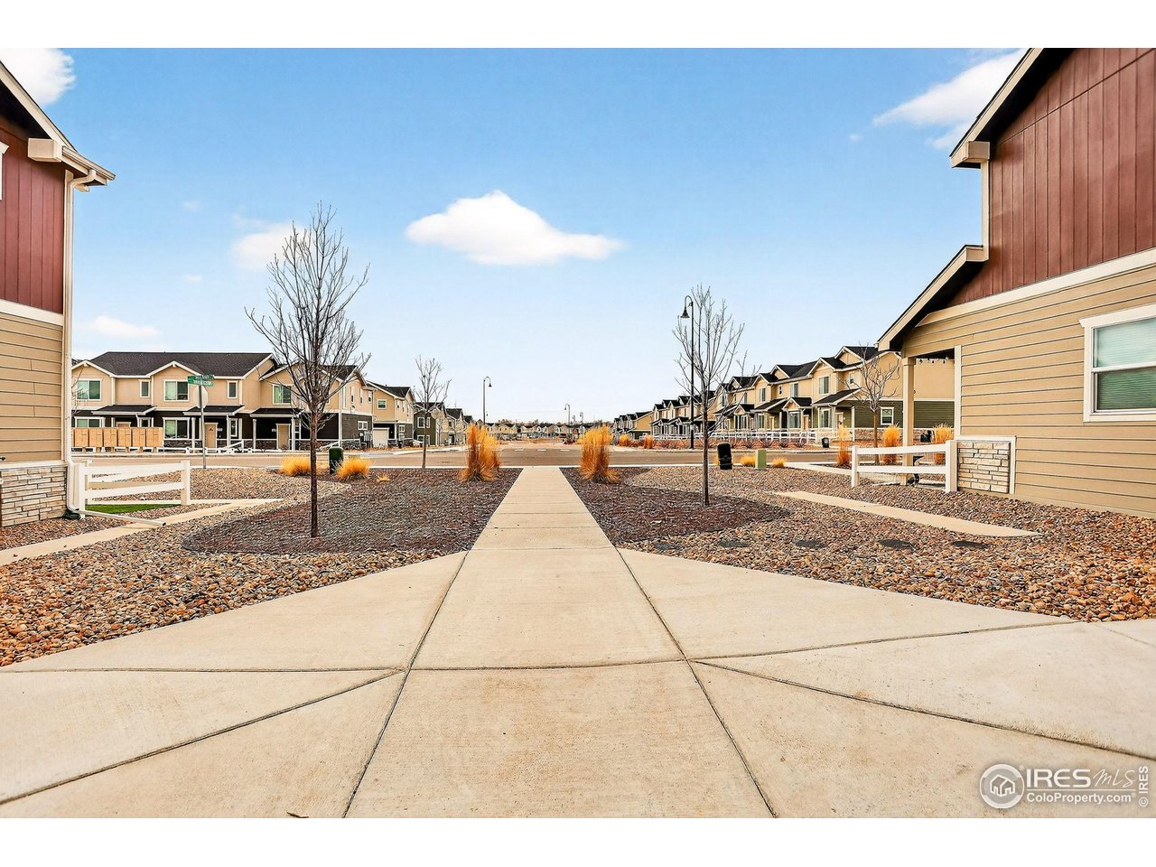 307 Penguin Street Johnstown, CO 80534 - Photo 5 of 34