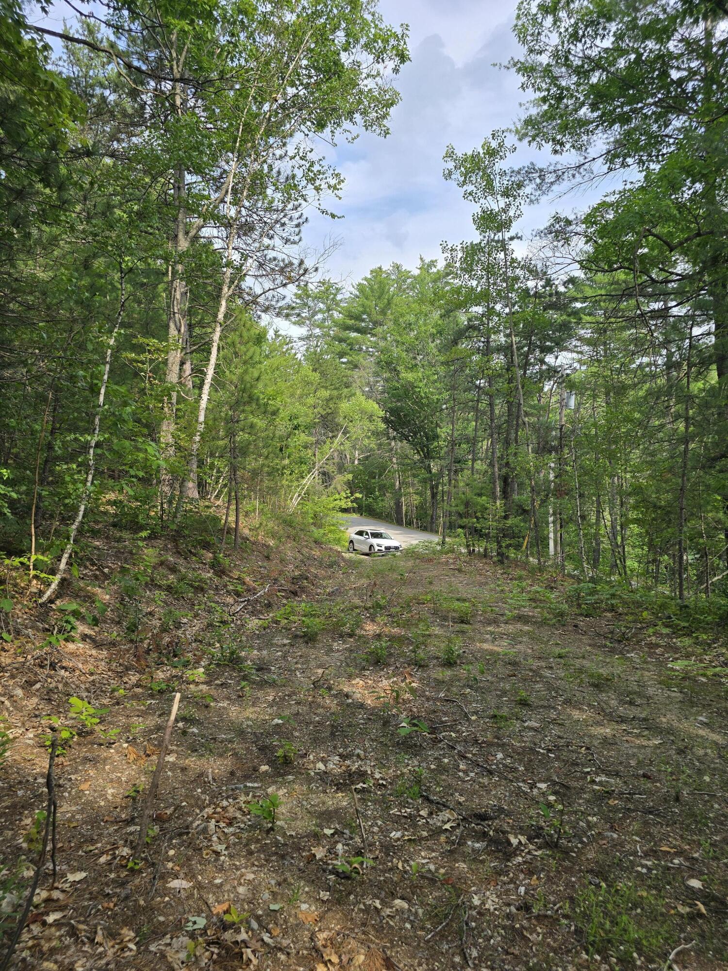 29 C Shepherds River Road Brownfield, ME 04010 - Photo 7 of 15 1000038288