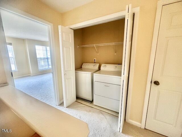 9713 Blackwell Drive Raleigh, NC 27617 - Photo 23 of 24 9713 Blackwell 19