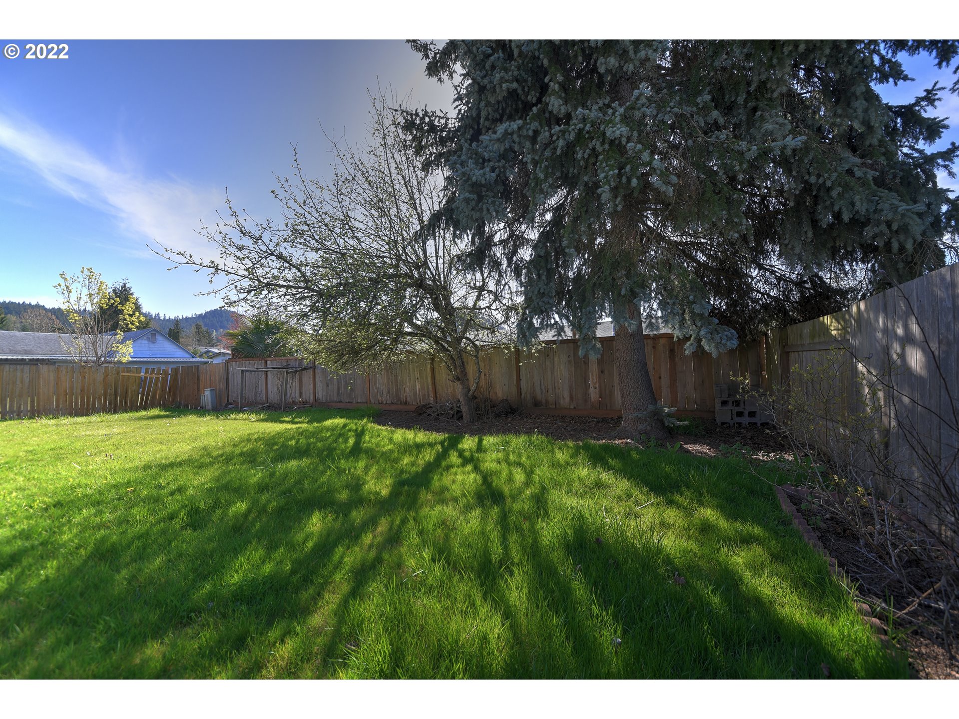 212 72nd Street Springfield, OR 97478 - Photo 19 of 21 a view of a backyard with tree