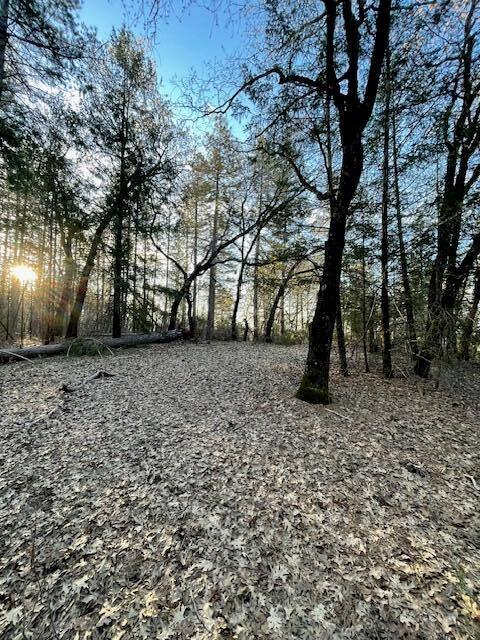 160 Ac Road Oak Run, CA 96069 - Photo 24 of 39 20240322022112601485000000-o