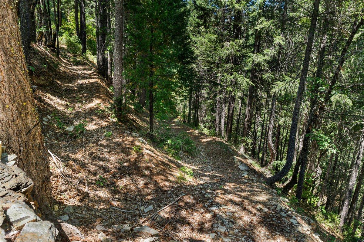 200 Craycroft Ridge Road Downieville, CA 95936 - Photo 31 of 34 a backyard of a house with lots of green space