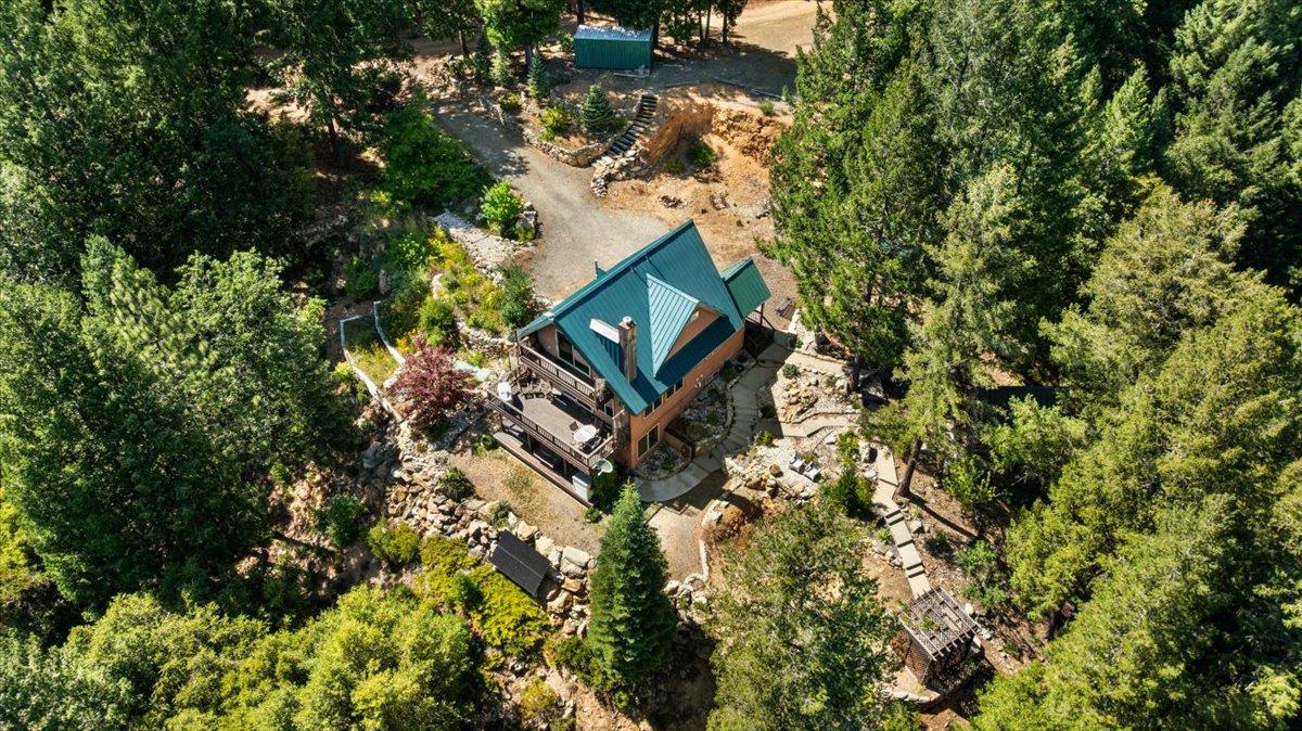 200 Craycroft Ridge Road Downieville, CA 95936 - Photo 36 of 39 a picture of tree