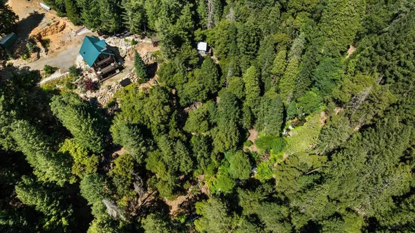 $630,000 | 200 Craycroft Ridge Road, Downieville, CA 95936