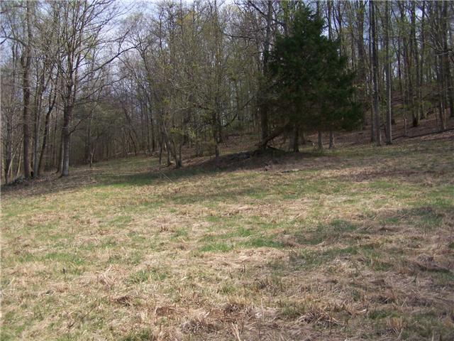 0 Pollard Hollow Road Prospect, TN 38477 - Photo 2 of 8