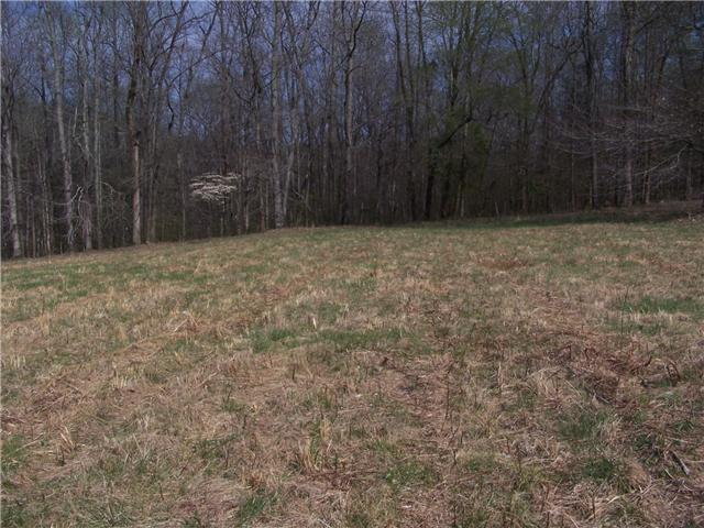 0 Pollard Hollow Road Prospect, TN 38477 - Photo 3 of 8