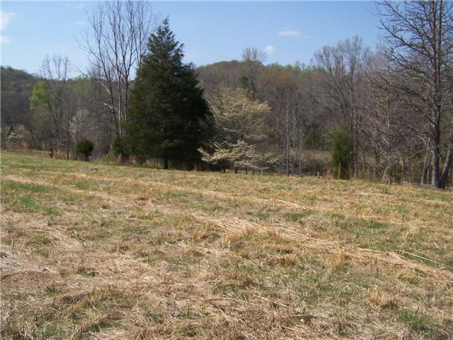 0 Pollard Hollow Road Prospect, TN 38477 - Photo 4 of 8