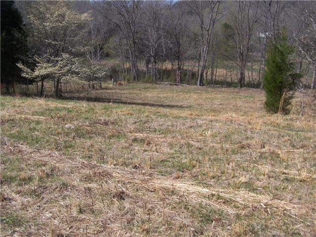 0 Pollard Hollow Road Prospect, TN 38477 - Photo 5 of 8