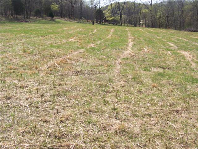 0 Pollard Hollow Road Prospect, TN 38477 - Photo 6 of 8