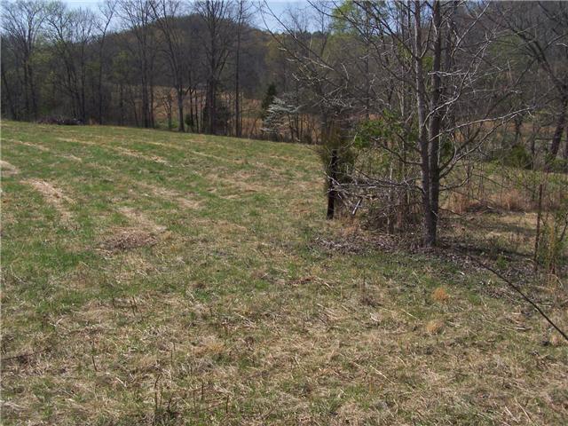 0 Pollard Hollow Road Prospect, TN 38477 - Photo 7 of 8