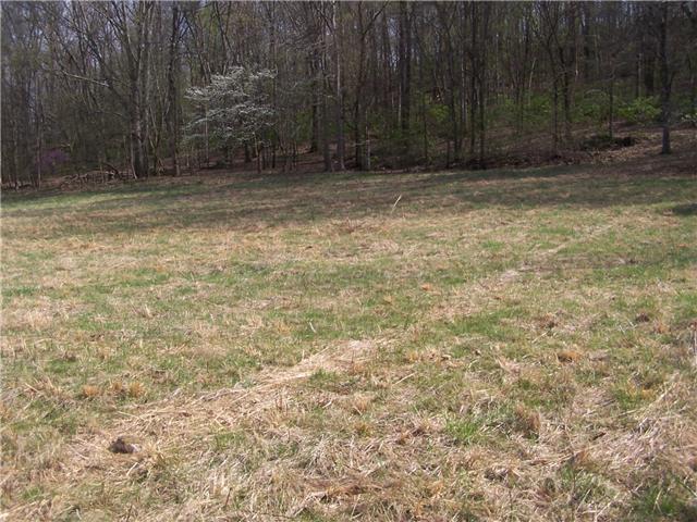 0 Pollard Hollow Road Prospect, TN 38477 - Photo 8 of 8