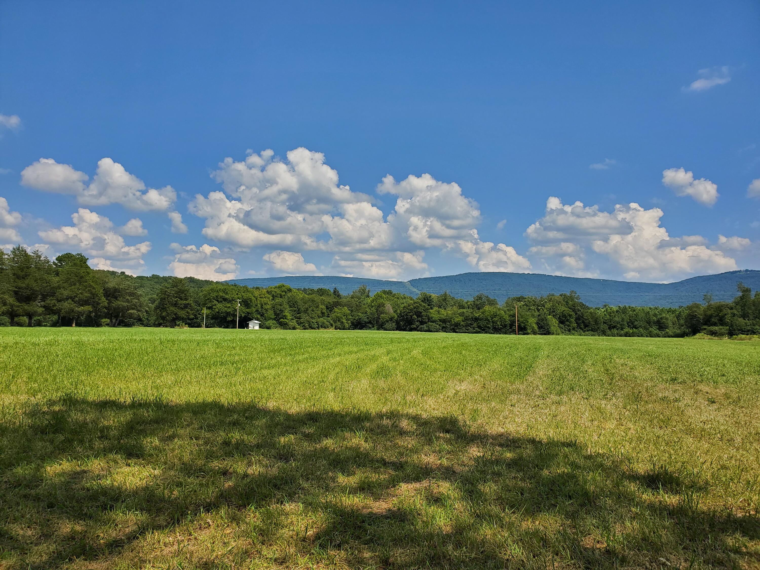 612-43 Stone Cave Loop Dunlap, TN 37327 - Photo 33 of 66 20190805_144216