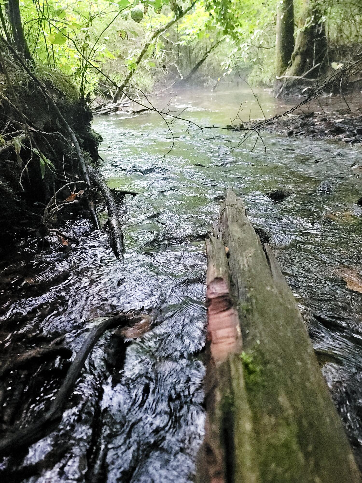 612-43 Stone Cave Loop Dunlap, TN 37327 - Photo 44 of 66 20220821_165459_02