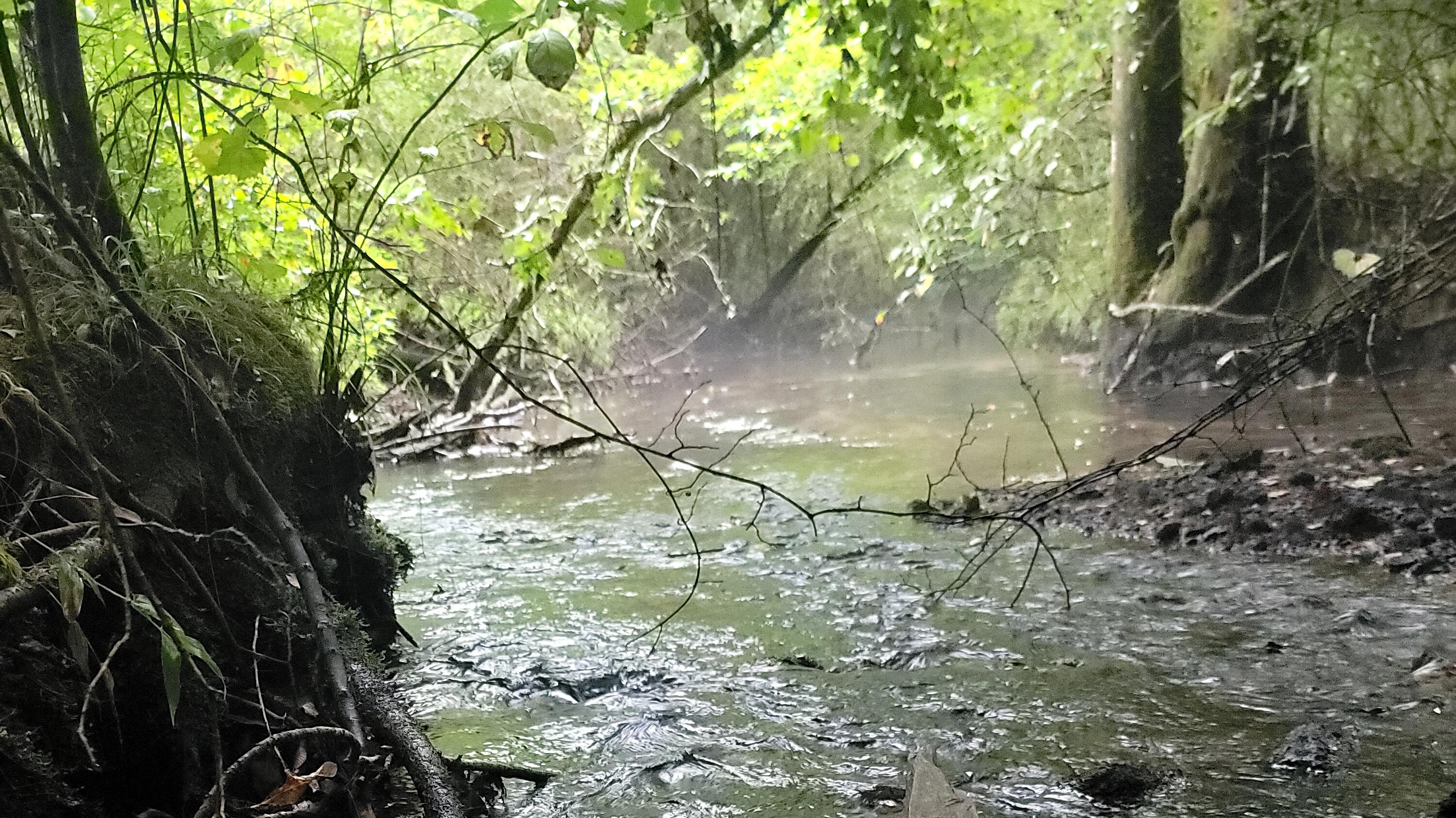 612-43 Stone Cave Loop Dunlap, TN 37327 - Photo 45 of 66 20220821_165459_06