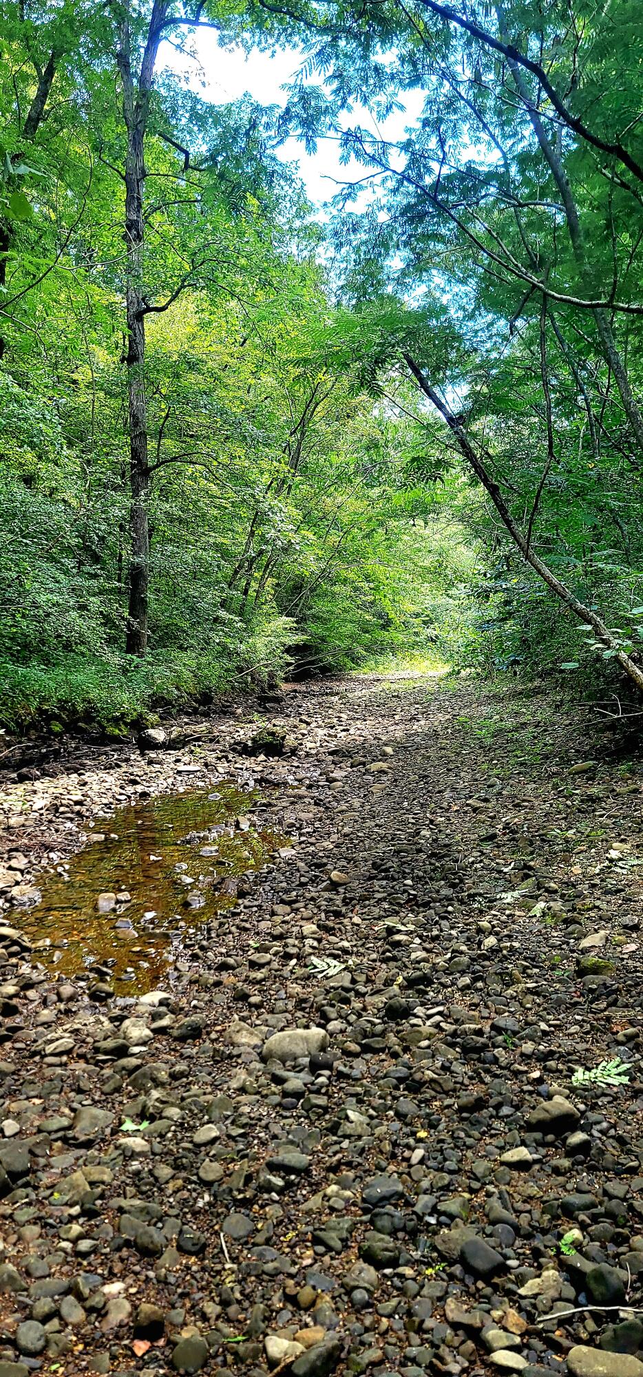 612-43 Stone Cave Loop Dunlap, TN 37327 - Photo 46 of 66 20220828_131224