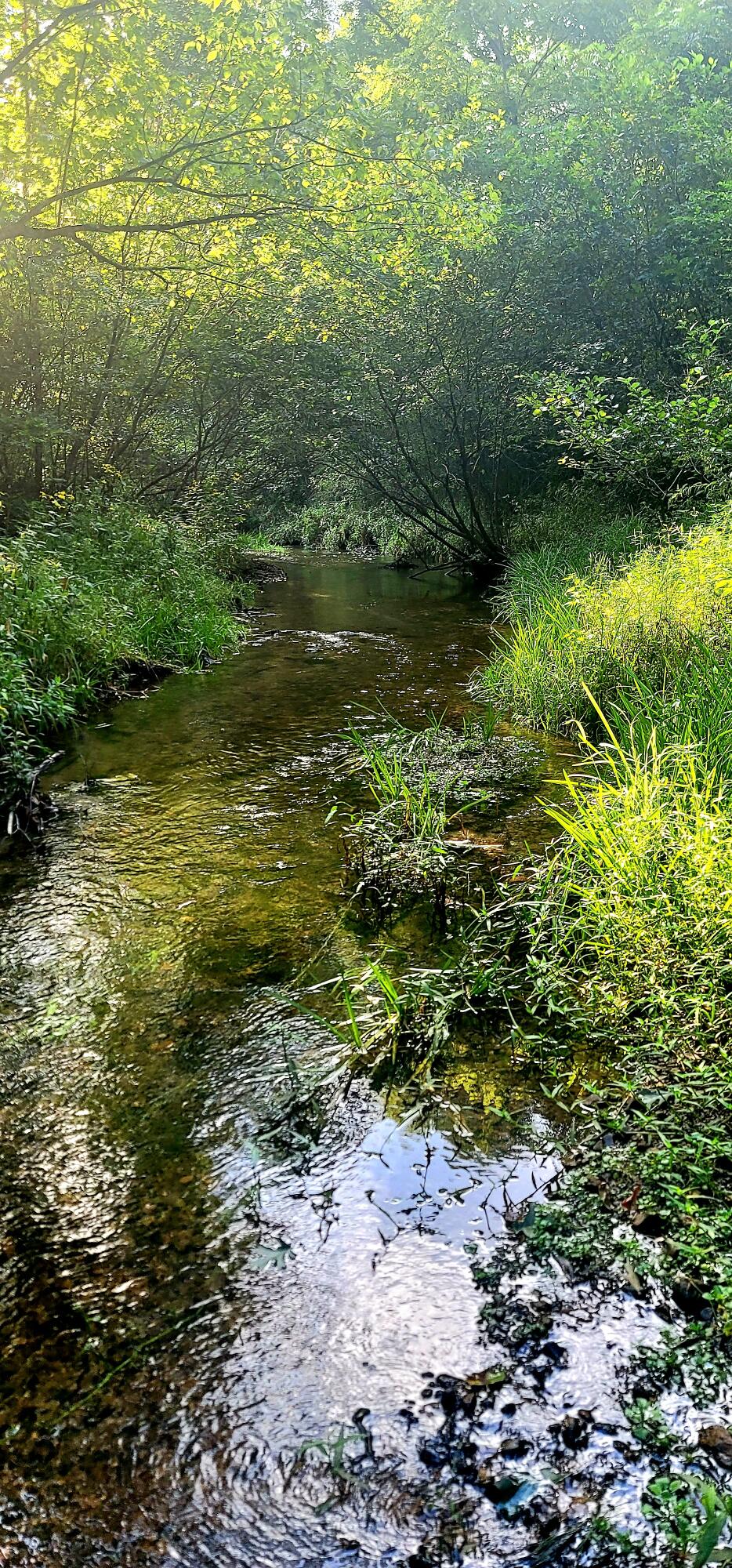612-43 Stone Cave Loop Dunlap, TN 37327 - Photo 51 of 66 20220828_173449