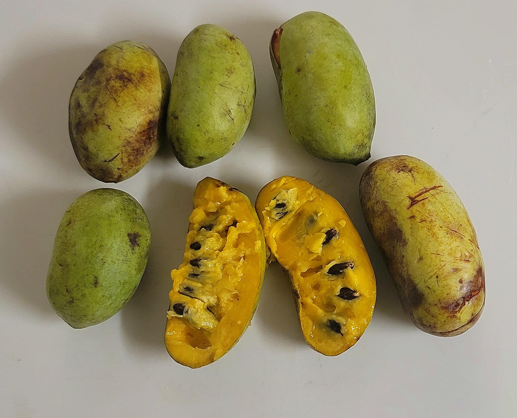 612-43 Stone Cave Loop Dunlap, TN 37327 - Photo 52 of 66 20220828_234121