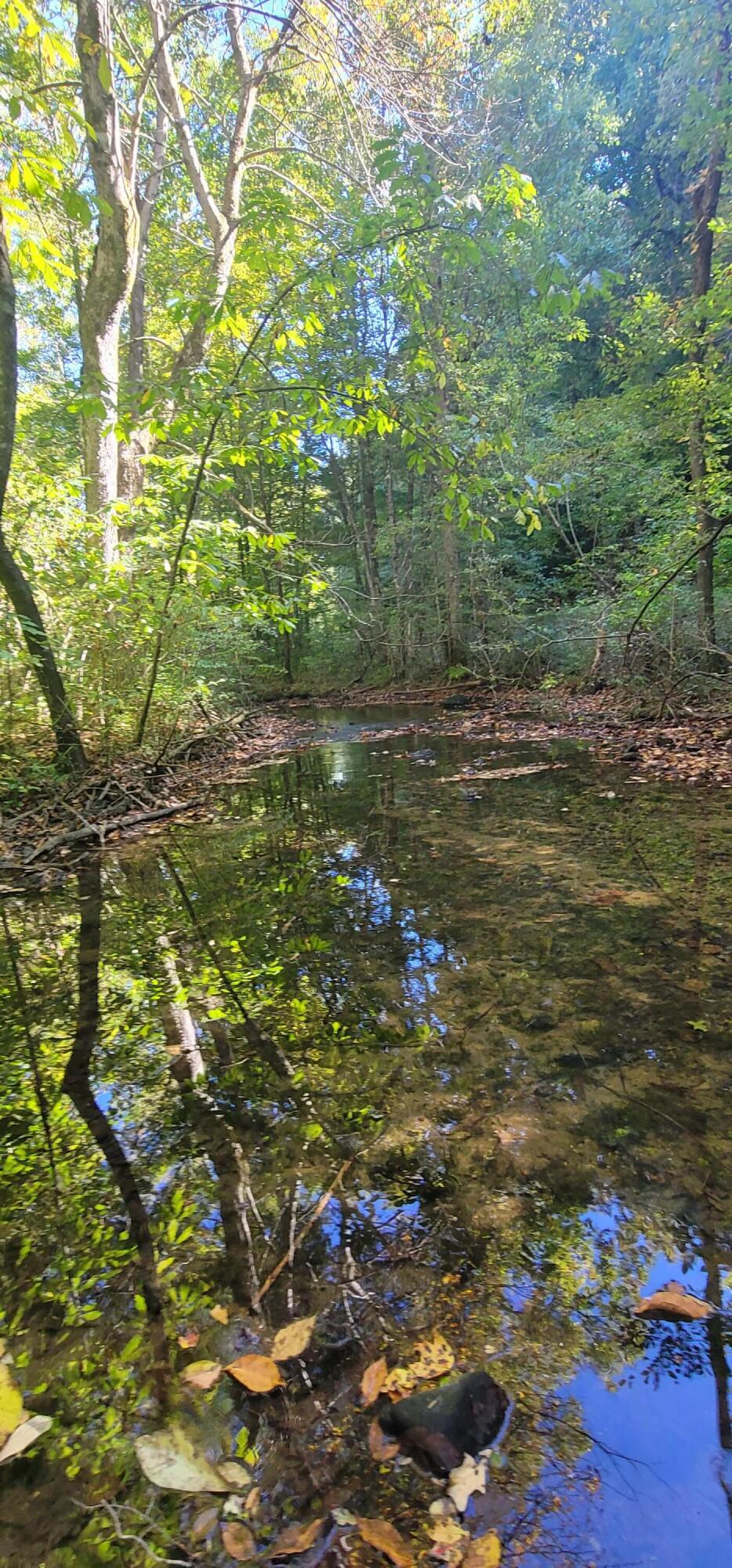 612-43 Stone Cave Loop Dunlap, TN 37327 - Photo 62 of 66 20221005_141642