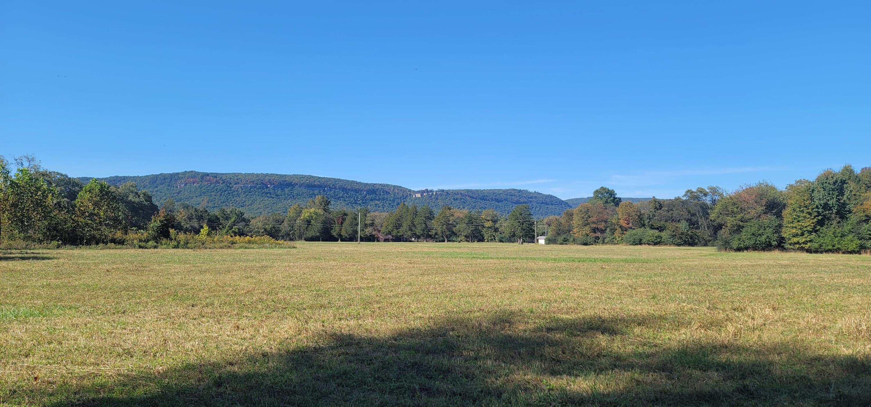 612-43 Stone Cave Loop Dunlap, TN 37327 - Photo 64 of 66 20221005_150113