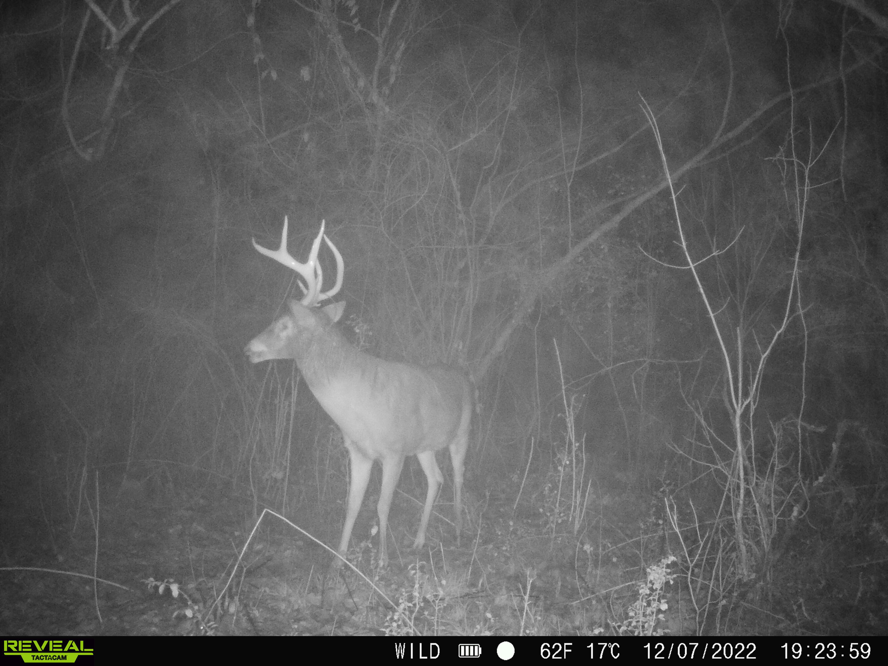612-43 Stone Cave Loop Dunlap, TN 37327 - Photo 66 of 66 SYFW0054