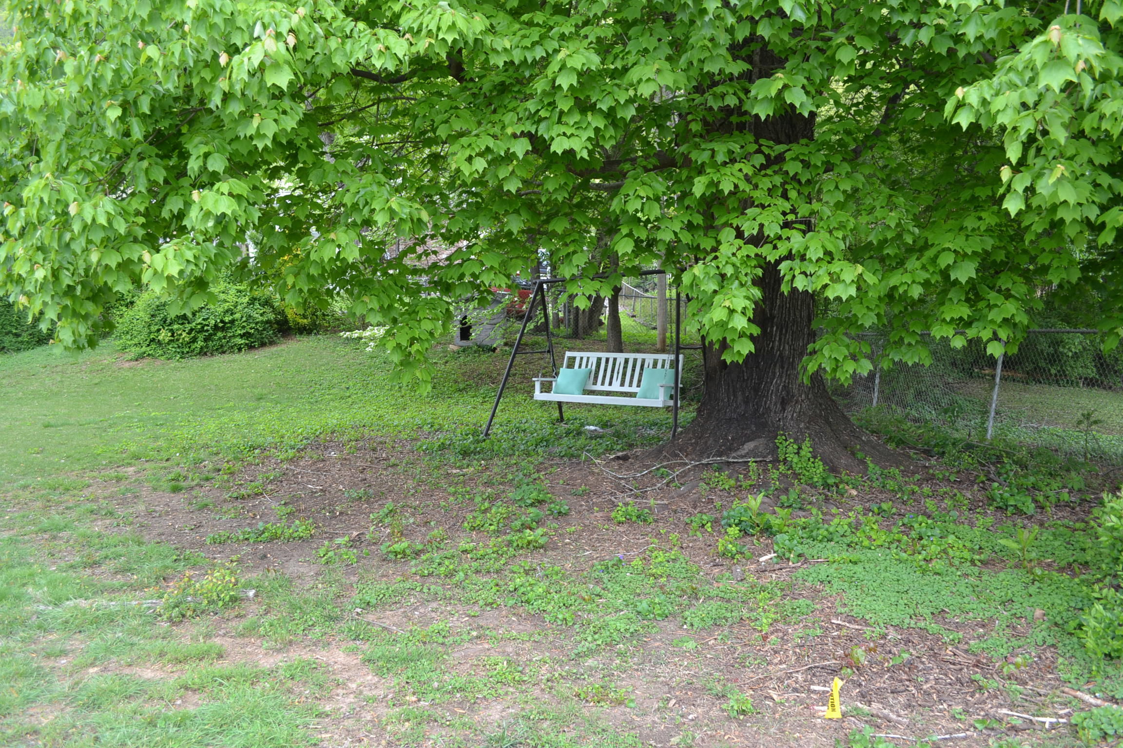 320 Walnut St Spring Spring City, TN 37381 - Photo 6 of 31 Bollant5