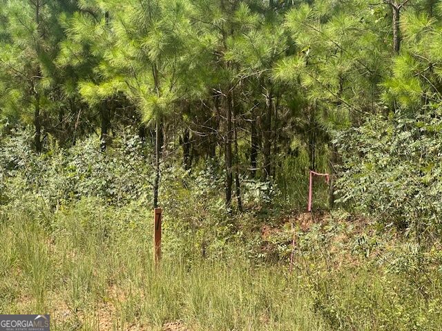 0 Cook Road, Unit TRACT #7 Monticello, GA 31064 - Photo 4 of 14 Gallery Image 4