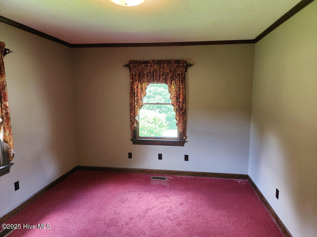 3514 Terrapin Track Road Washington, NC 27889 - Photo 14 of 19 21 BEDROOM 1