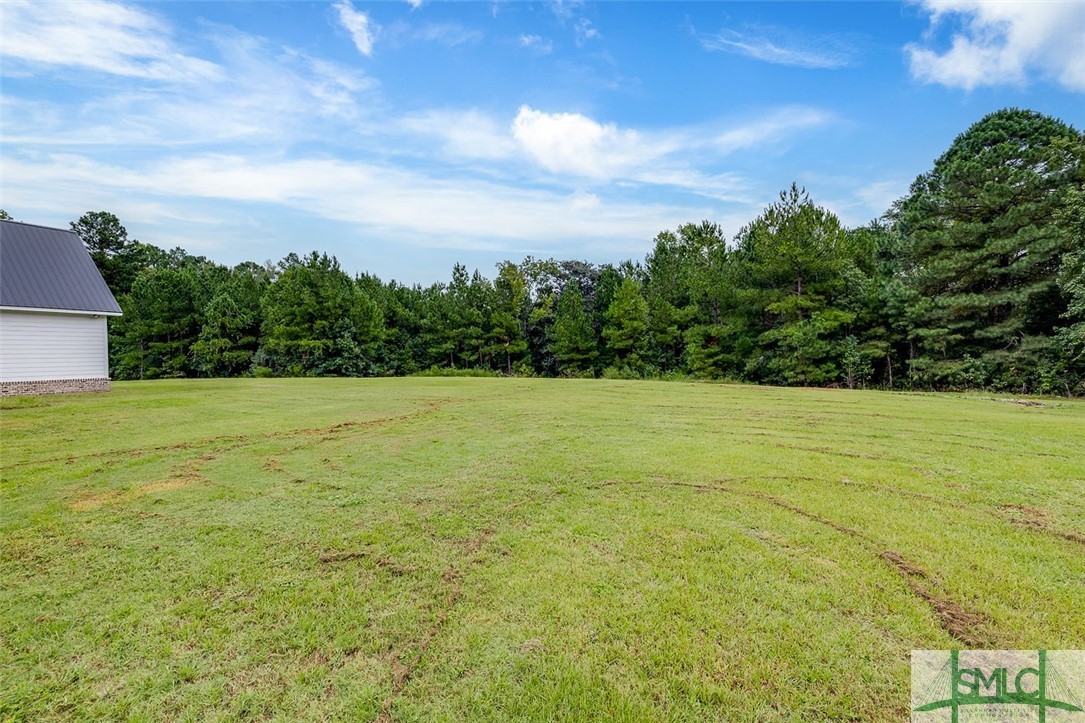 3320 Old River Road South Brooklet, GA 30415 - Photo 46 of 49 Gallery Image 46