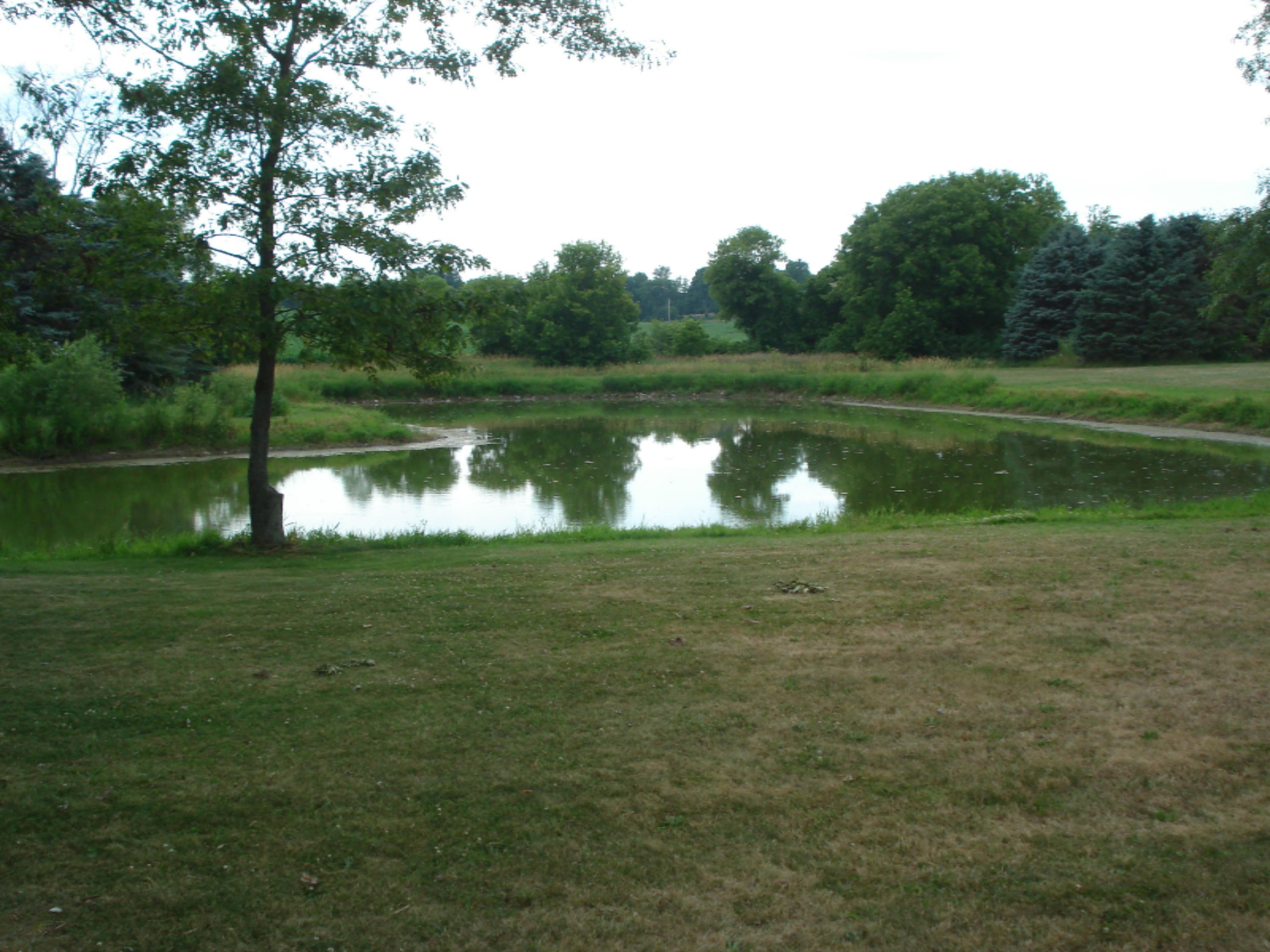 4651 Hoover Road Barryton, MI 49305 - Photo 5 of 18 DSC04149