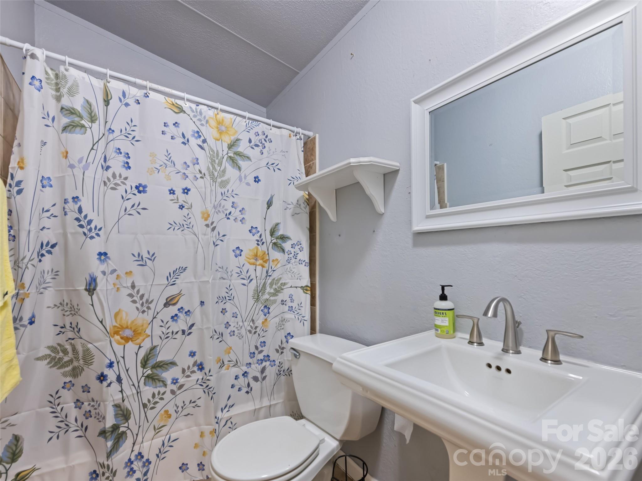 115 Slick Rock Ridge Maggie Valley, NC 28751 - Photo 10 of 18
