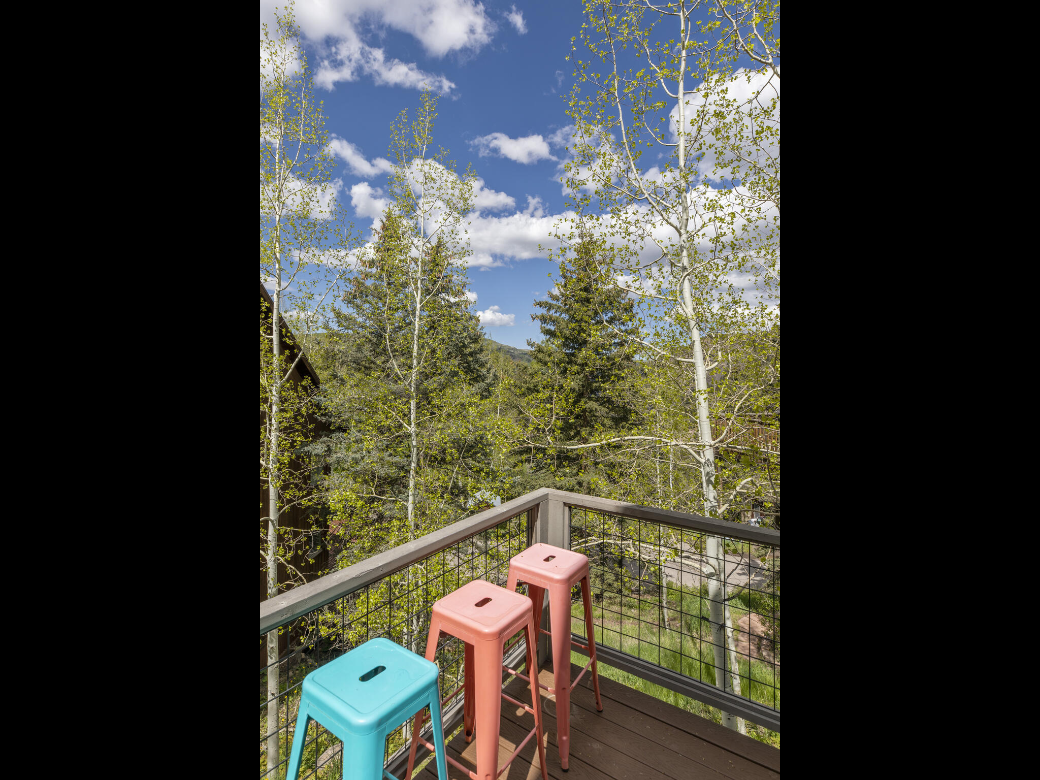 165 Alexander Overlook Telluride, CO 81435 - Photo 10 of 27 unknown