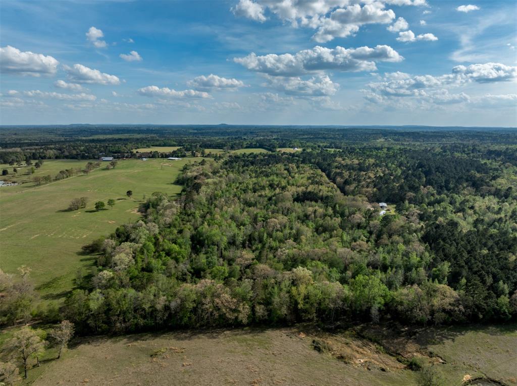 0 White Tail Road Gilmer, TX 75644 - Photo 2 of 11