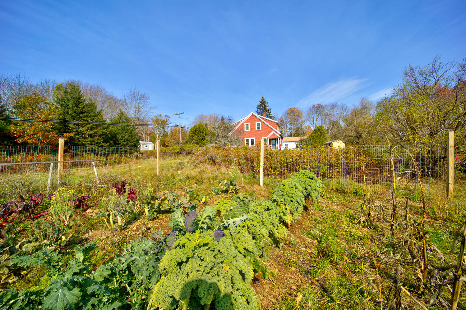 648 North Sedgwick Road Sedgwick, ME 04676 - Photo 34 of 67 B Garden 2